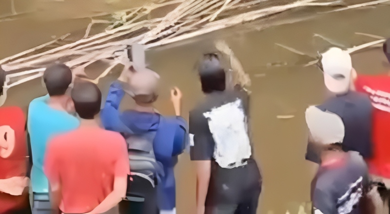 Mulher é atacada e morta por crocodilo gigante enquanto pegava mariscos