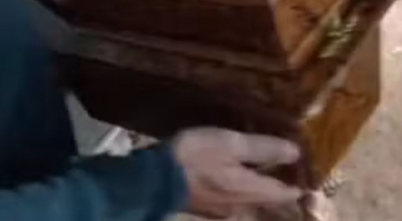 Mulher é presa após furtar corpo de recém-nascido em necrotério no Amazonas