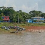 Ossada humana é encontrada boiando em rio no interior do Amazonas