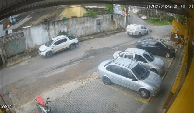 PMs têm prisão decretada após morte de duas cadelas em Manaus