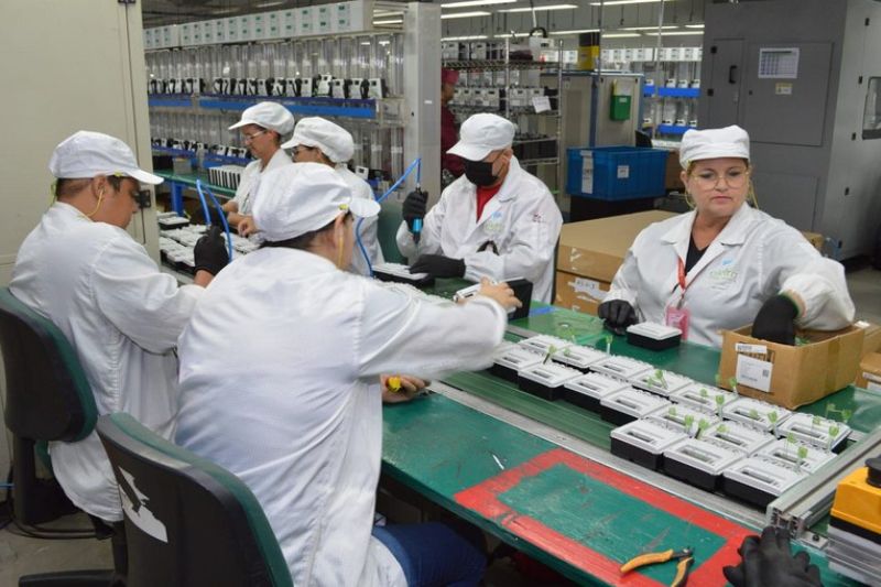 Emprego com carteira assinada é recorde de 39,351 milhões de trabalhadores