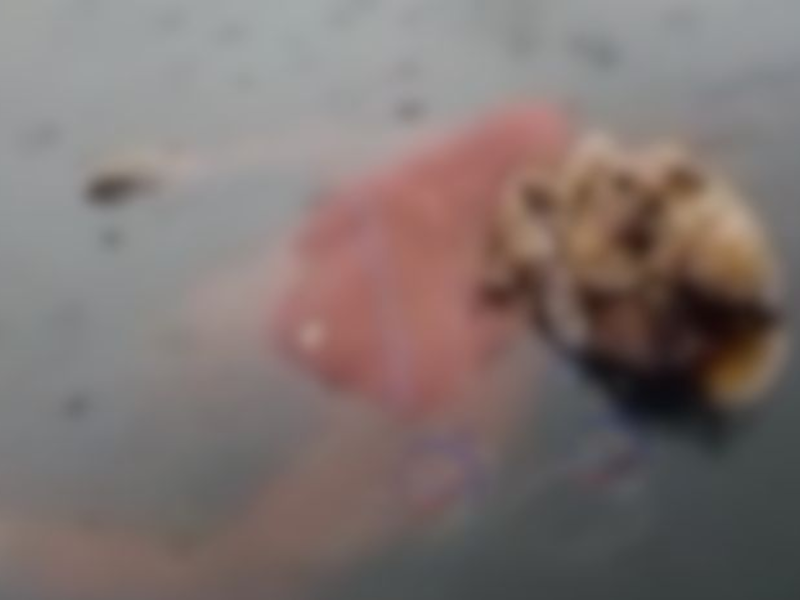 Família encontra corpo em decomposição boiando no Rio Negro