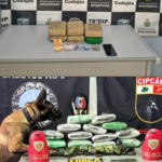 Polícia apreende 29 quilos de drogas durante operação em rios do Amazonas; Suspeito é preso