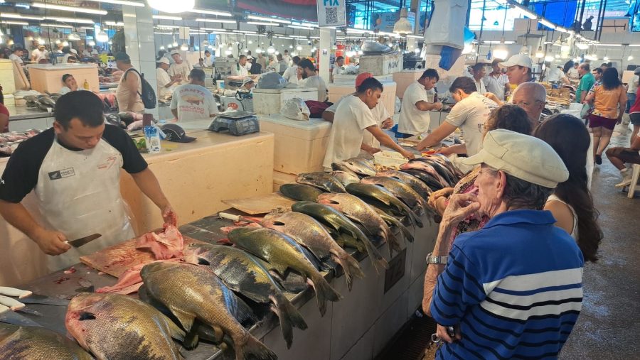 Preço do peixe sobe, mas procura cresce na Semana Santa