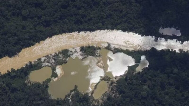 Justiça torna réus quatro por garimpo ilegal em parque no AM