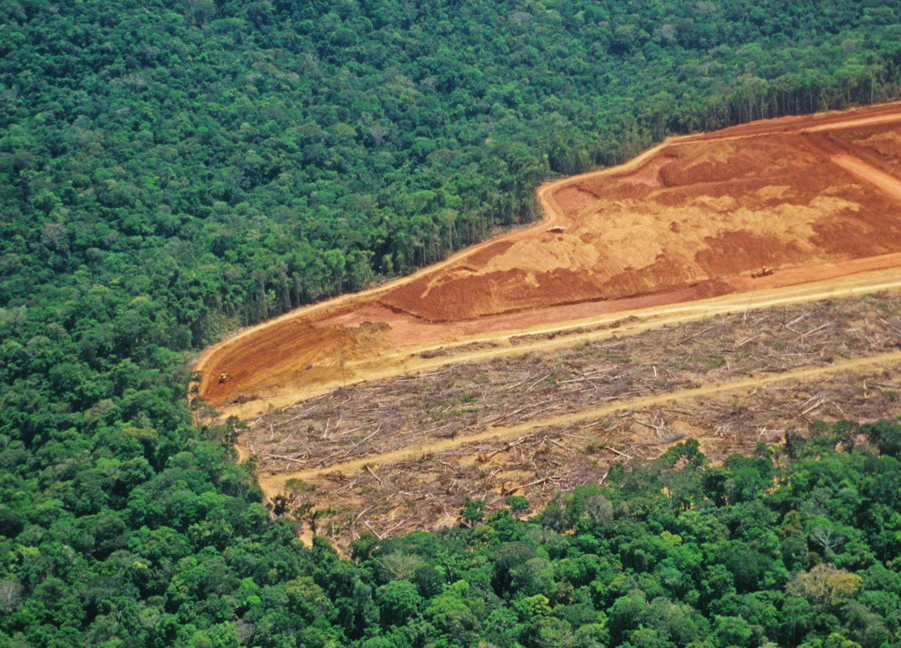 Amazonas reduz desmatamento em 31%, mas continua entre os três estados que mais devastam a Amazônia