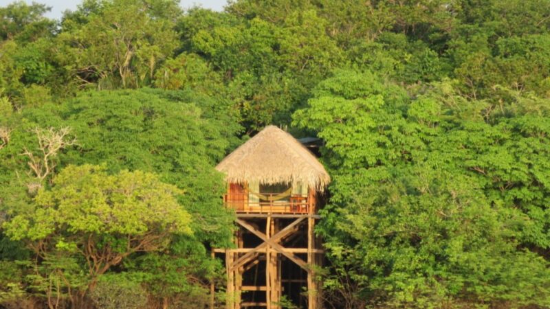 Hotéis de selva no AM: como é dormir na Amazônia
