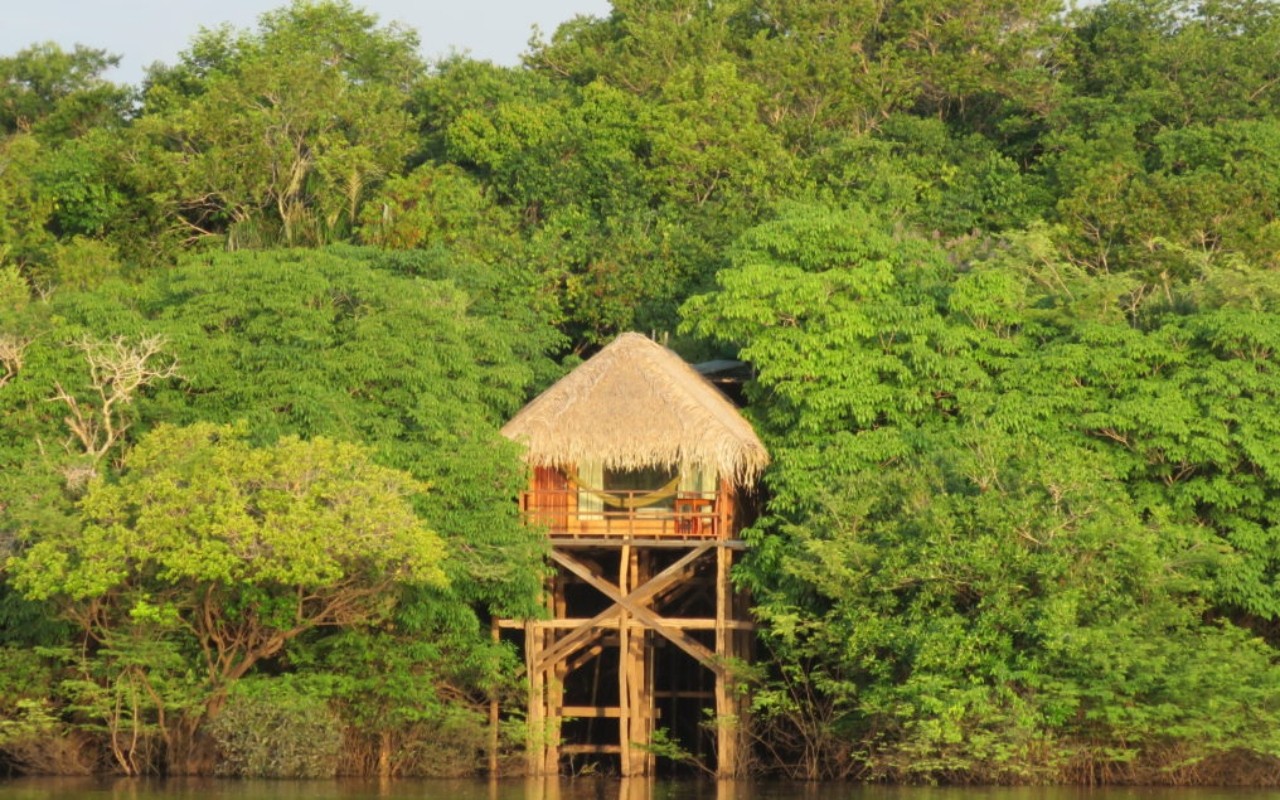 Hotéis de selva no AM: como é dormir na Amazônia