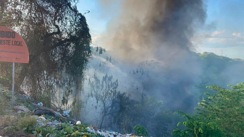 Fogo em área de mata mobiliza bombeiros na Zona Leste de Manaus