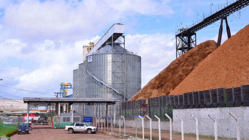 Porto de Santana consolida rota para exportação de soja