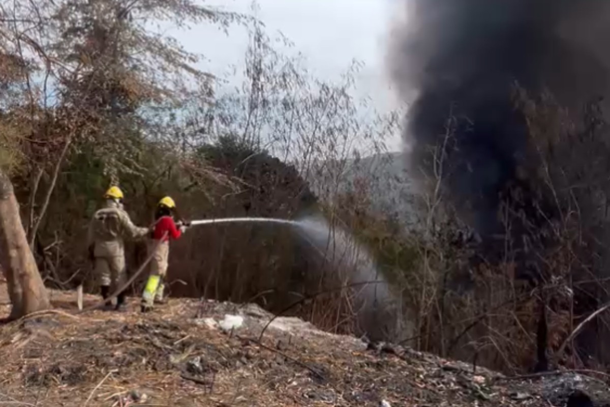 Bombeiros atendem 99 incêndios em 24 horas no Amazonas; fogo atingiu galpão de transportadora em Manaus