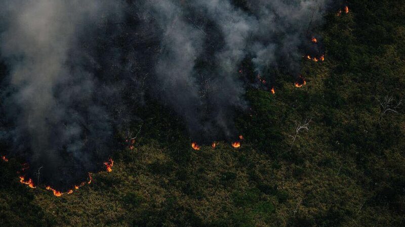 Amazonas soma 1.372 focos de calor nos primeiros 12 dias de outubro