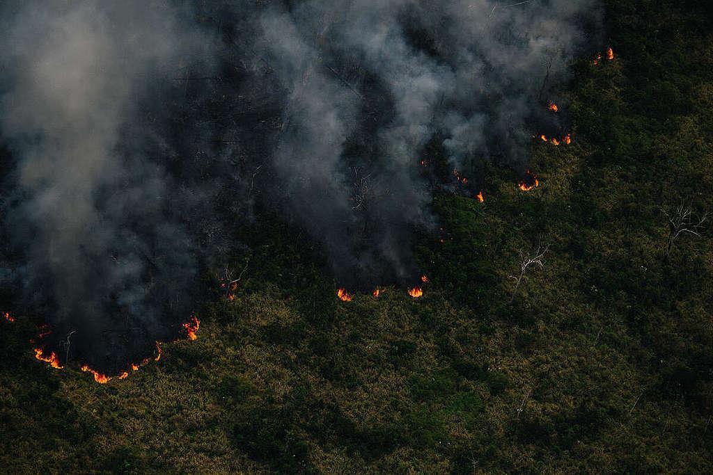 Amazonas soma 1.372 focos de calor nos primeiros 12 dias de outubro