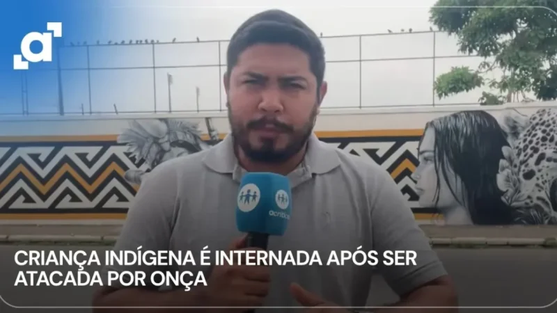 Criança indígena Munduruku é internada após ataque de onça no Pará